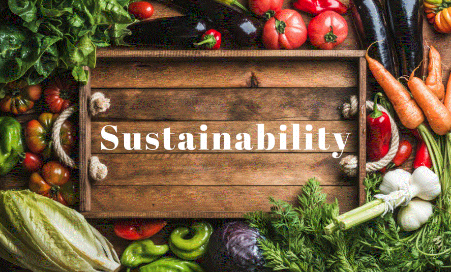 Food Sustainability